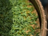 高山石笕绿茶