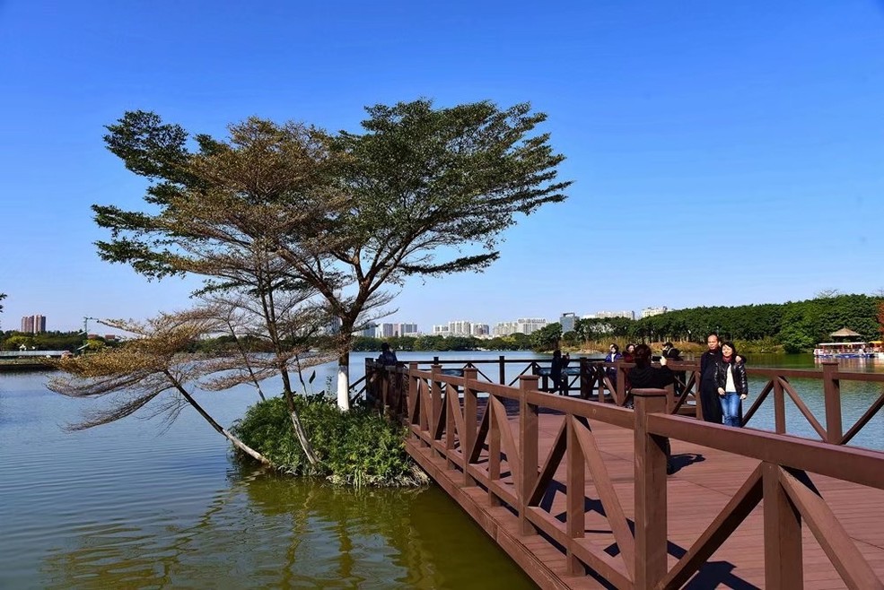 广州海珠湿地